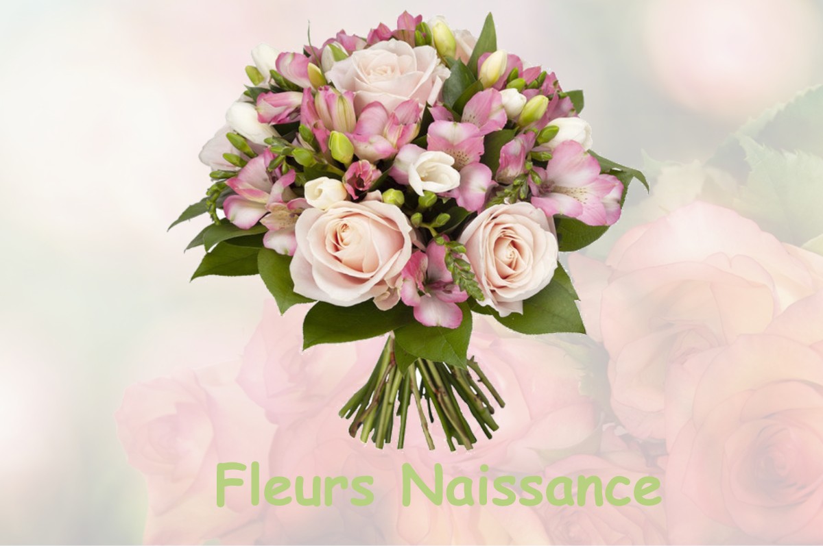 fleurs naissance LA-MARRE